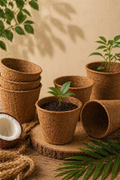 Coco Pot