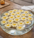 Scented Daisy Floating Candles